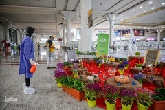 ضدعفوني كردن اماكن عمومي شيراز توسط  گروه‌های مردمی