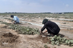 خسارات سیل در جنوب کرمان