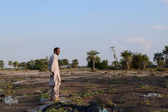 خسارات سیل در جنوب کرمان