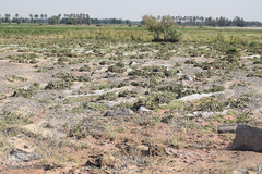 خسارات سیل در جنوب کرمان