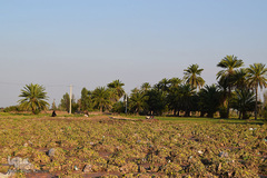 خسارات سیل در جنوب کرمان