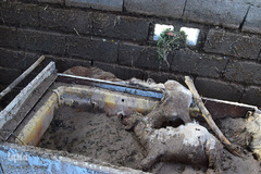 خسارات سیل در جنوب کرمان