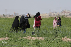 روز طبیعت با چاشنی کرونا