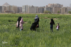 روز طبیعت با چاشنی کرونا