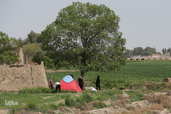 روز طبیعت با چاشنی کرونا