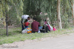 روز طبیعت با چاشنی کرونا