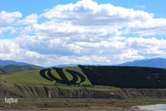 لبخند طبیعت در جلگه گیلان