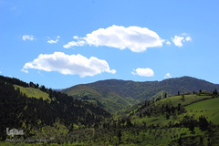 لبخند طبیعت در جلگه گیلان