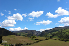 لبخند طبیعت در جلگه گیلان