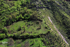 لبخند طبیعت در جلگه گیلان