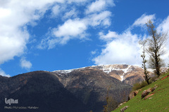 لبخند طبیعت در جلگه گیلان