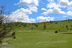 لبخند طبیعت در جلگه گیلان