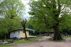 لبخند طبیعت در جلگه گیلان