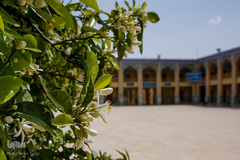 بهار در بهشت