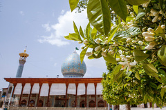 بهار در بهشت