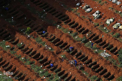 دفن قربانیان COVID-19