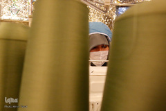 حرم شاهچراغ باز شد!