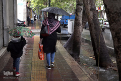 باران بهاری در تهران