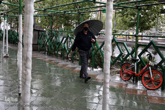 باران بهاری در تهران