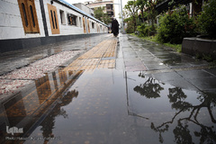 باران بهاری در تهران