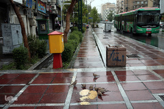 باران بهاری در تهران