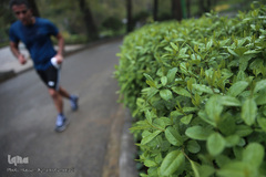 باران بهاری در تهران