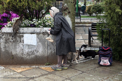 باران بهاری در تهران