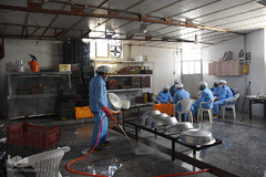 خدمت رسانی گروه های جهادی طلاب و روحانیون سمنان به بیماران کرونا