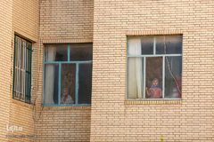 کاروان جشن میلاد امام زمان(عج) در شیراز