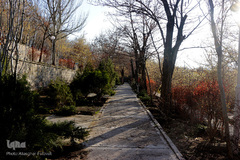 صدای پای بهار در تفرجگاه ائل‌گلی تبریز