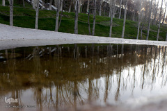 صدای پای بهار در تفرجگاه ائل‌گلی تبریز