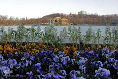 صدای پای بهار در تفرجگاه ائل‌گلی تبریز