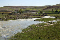 باز به صحرا رسید کوکبه ی نوبهار...