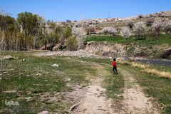 باز به صحرا رسید کوکبه ی نوبهار...