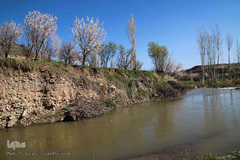 باز به صحرا رسید کوکبه ی نوبهار...