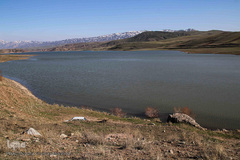 باز به صحرا رسید کوکبه ی نوبهار...