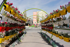 گل فرش تبریز