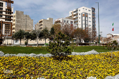 گل فرش تبریز