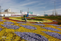 گل فرش تبریز