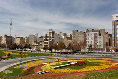 گل فرش تبریز