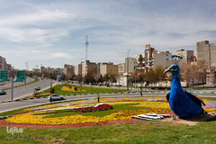 گل فرش تبریز