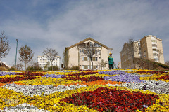 گل فرش تبریز