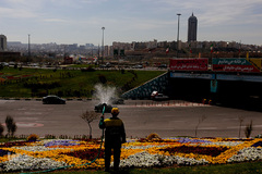 گل فرش تبریز