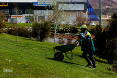 گل فرش تبریز