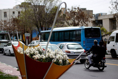 گل فرش تبریز