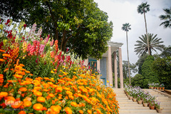 سعدیا مرد نکونام نمیرد هرگز