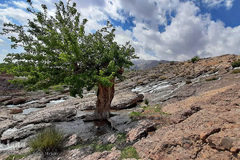 تفرجگاهی با قدمت 4000 سال در شهرستان مهریز