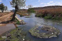 تفرجگاهی با قدمت 4000 سال در شهرستان مهریز