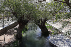 تفرجگاهی با قدمت 4000 سال در شهرستان مهریز