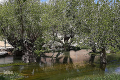 تفرجگاهی با قدمت 4000 سال در شهرستان مهریز